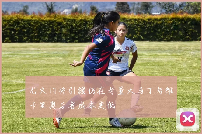 尤文门将引援仍在考量大马丁与维卡里奥后者成本更低