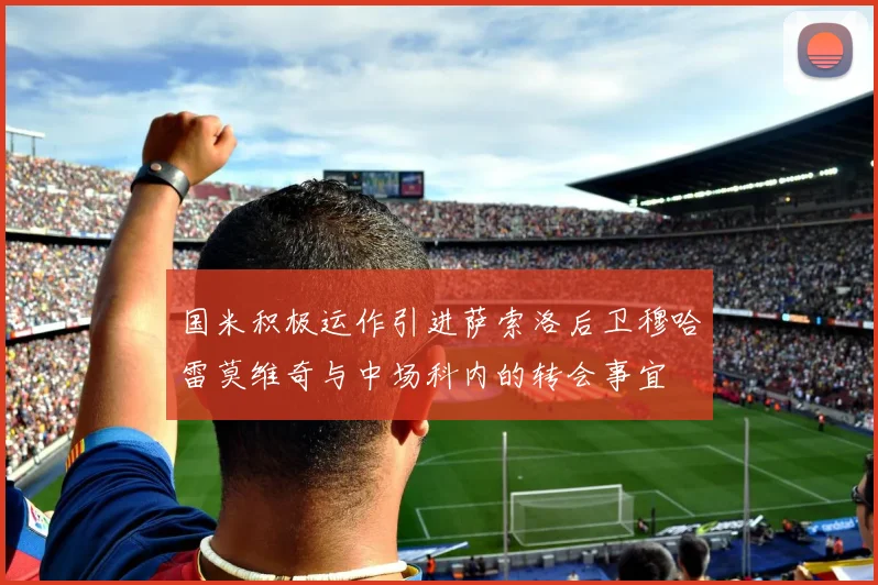 国米积极运作引进萨索洛后卫穆哈雷莫维奇与中场科内的转会事宜